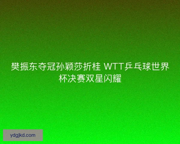樊振东夺冠孙颖莎折桂 WTT乒乓球世界杯决赛双星闪耀